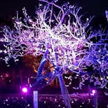 せんだい農業園芸センター　みどりの杜に投稿された画像（2023/3/25）