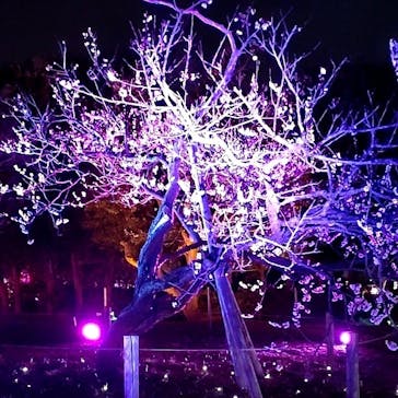 せんだい農業園芸センター　みどりの杜に投稿された画像（2023/3/25）