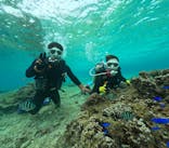 DIVING-SHOP SUNSに投稿された画像（2023/3/25）