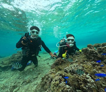 DIVING-SHOP SUNSに投稿された画像（2023/3/25）