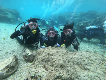 武藤潜水に投稿された画像（2023/3/25）