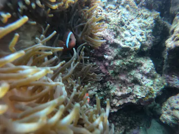 武藤潜水に投稿された画像（2023/3/25）