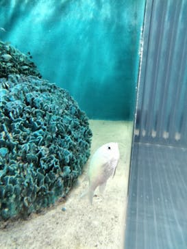 サンシャイン水族館に投稿された画像（2023/3/25）