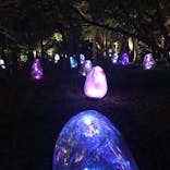 チームラボ ボタニカルガーデン 大阪に投稿された画像（2023/3/25）