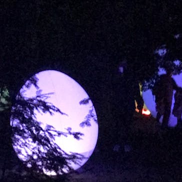 チームラボ ボタニカルガーデン 大阪に投稿された画像（2023/3/25）