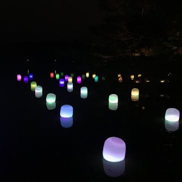 チームラボ ボタニカルガーデン 大阪に投稿された画像（2023/3/25）