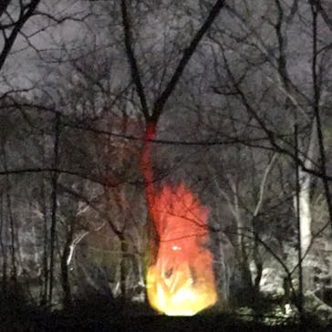 チームラボ ボタニカルガーデン 大阪に投稿された画像（2023/3/25）