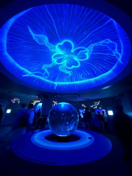 新江ノ島水族館に投稿された画像（2023/3/25）