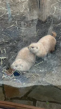 横浜・八景島シーパラダイスに投稿された画像（2023/3/25）