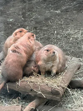 横浜・八景島シーパラダイスに投稿された画像（2023/3/25）
