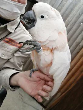 神戸どうぶつ王国に投稿された画像（2023/3/25）