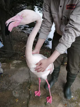 神戸どうぶつ王国に投稿された画像（2023/3/25）