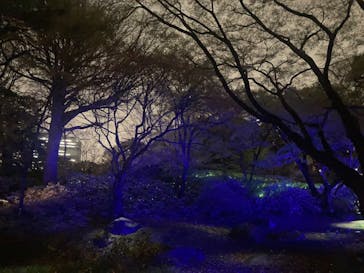 六義園に投稿された画像（2023/3/25）