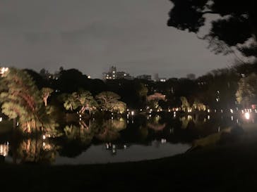 六義園に投稿された画像（2023/3/25）