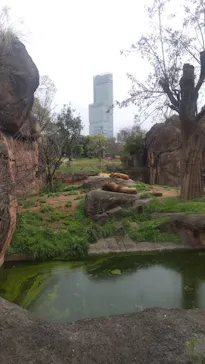 天王寺動物園に投稿された画像（2023/3/25）