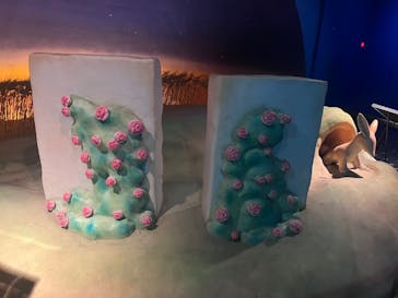 星の王子さまミュージアム 箱根サン=テグジュペリに投稿された画像（2023/3/25）