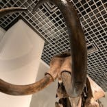 国立科学博物館に投稿された画像（2023/3/25）