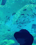 仙台うみの杜水族館に投稿された画像（2023/3/25）