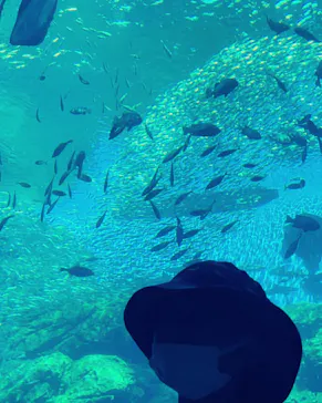 仙台うみの杜水族館に投稿された画像（2023/3/25）