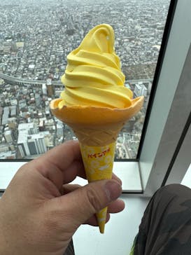 ハルカス300(展望台)に投稿された画像（2023/3/25）