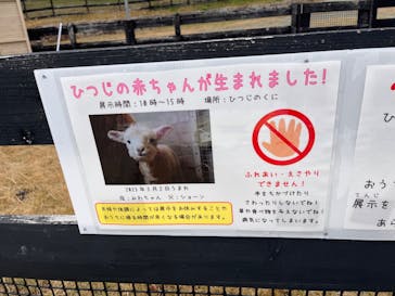 淡路ファームパーク イングランドの丘に投稿された画像（2023/3/25）