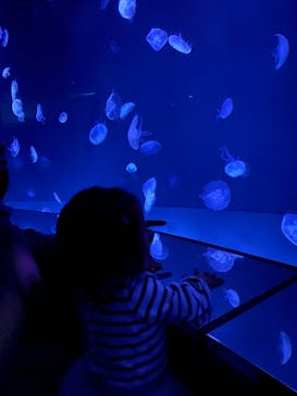 サンシャイン水族館に投稿された画像（2023/3/25）