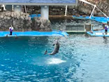 名古屋港水族館に投稿された画像（2023/3/25）