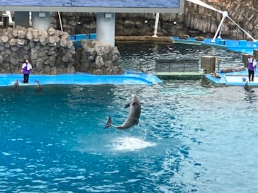 名古屋港水族館に投稿された画像（2023/3/25）
