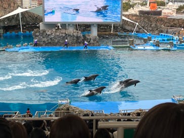 名古屋港水族館に投稿された画像（2023/3/25）