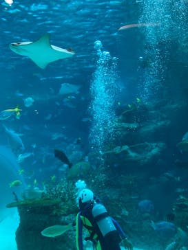 名古屋港水族館に投稿された画像（2023/3/25）