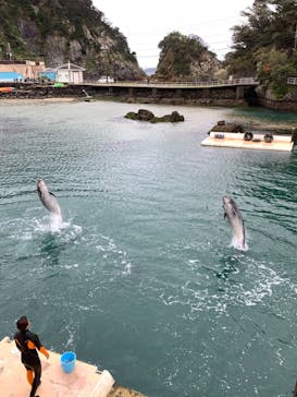 下田海中水族館に投稿された画像（2023/3/25）