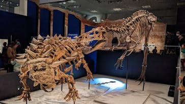 特別展「恐竜博2023」に投稿された画像（2023/3/25）