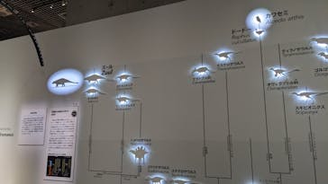 特別展「恐竜博2023」に投稿された画像（2023/3/25）