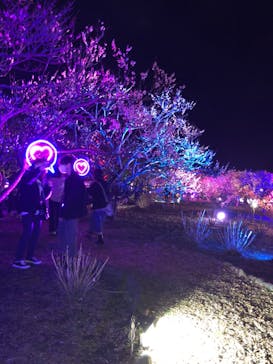 せんだい農業園芸センター　みどりの杜に投稿された画像（2023/3/25）