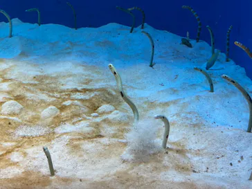 仙台うみの杜水族館に投稿された画像（2023/3/25）