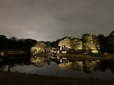 六義園に投稿された画像（2023/3/25）