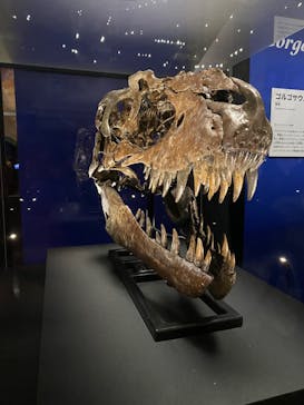 特別展「恐竜博2023」に投稿された画像（2023/3/25）