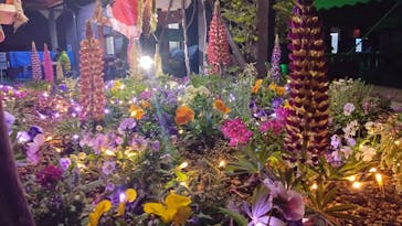 せんだい農業園芸センター　みどりの杜に投稿された画像（2023/3/25）