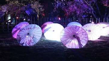 せんだい農業園芸センター　みどりの杜に投稿された画像（2023/3/25）