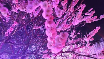 せんだい農業園芸センター　みどりの杜に投稿された画像（2023/3/25）