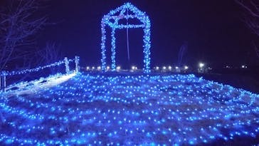 せんだい農業園芸センター　みどりの杜に投稿された画像（2023/3/25）