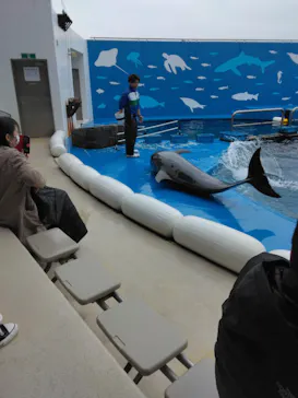 仙台うみの杜水族館に投稿された画像（2023/3/25）