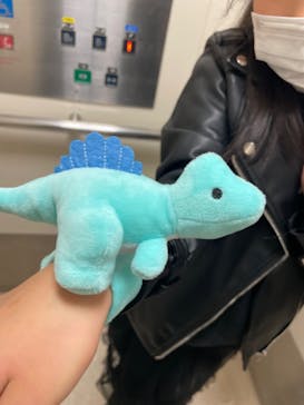 特別展「恐竜博2023」に投稿された画像（2023/3/25）