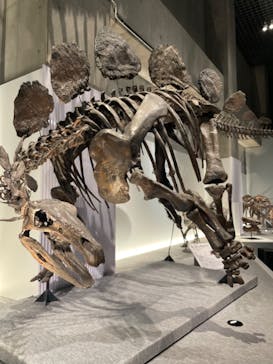 特別展「恐竜博2023」に投稿された画像（2023/3/25）