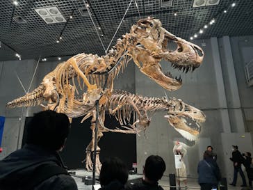 特別展「恐竜博2023」に投稿された画像（2023/3/25）