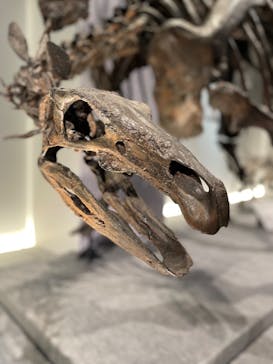 特別展「恐竜博2023」に投稿された画像（2023/3/25）