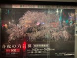 六義園に投稿された画像（2023/3/25）