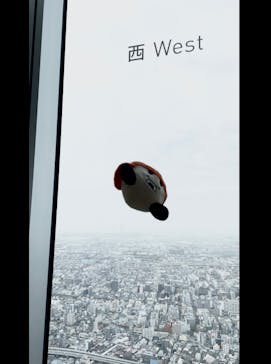 ハルカス300(展望台)に投稿された画像（2023/3/25）