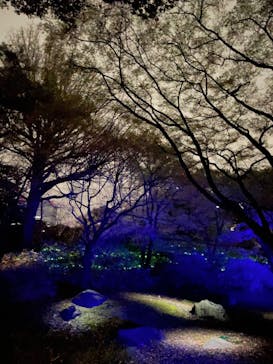 六義園に投稿された画像（2023/3/25）