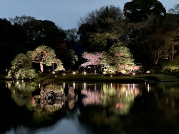六義園に投稿された画像（2023/3/25）